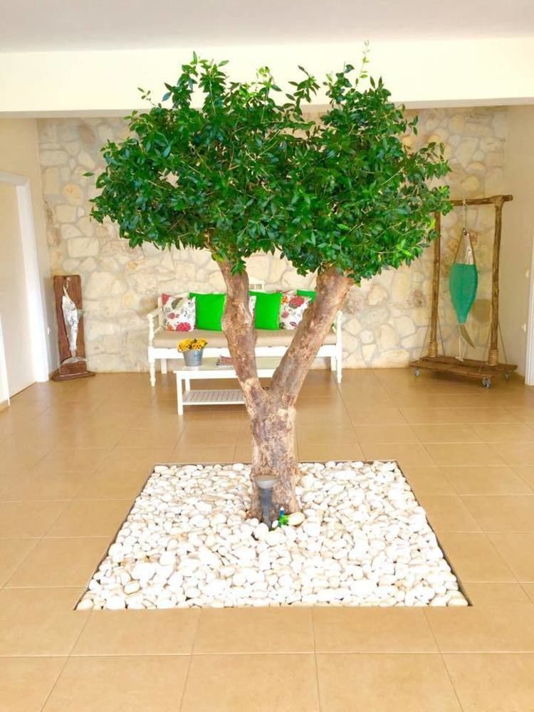 Ammos Boutique Apartments & Suites Malia Eksteriør bilde