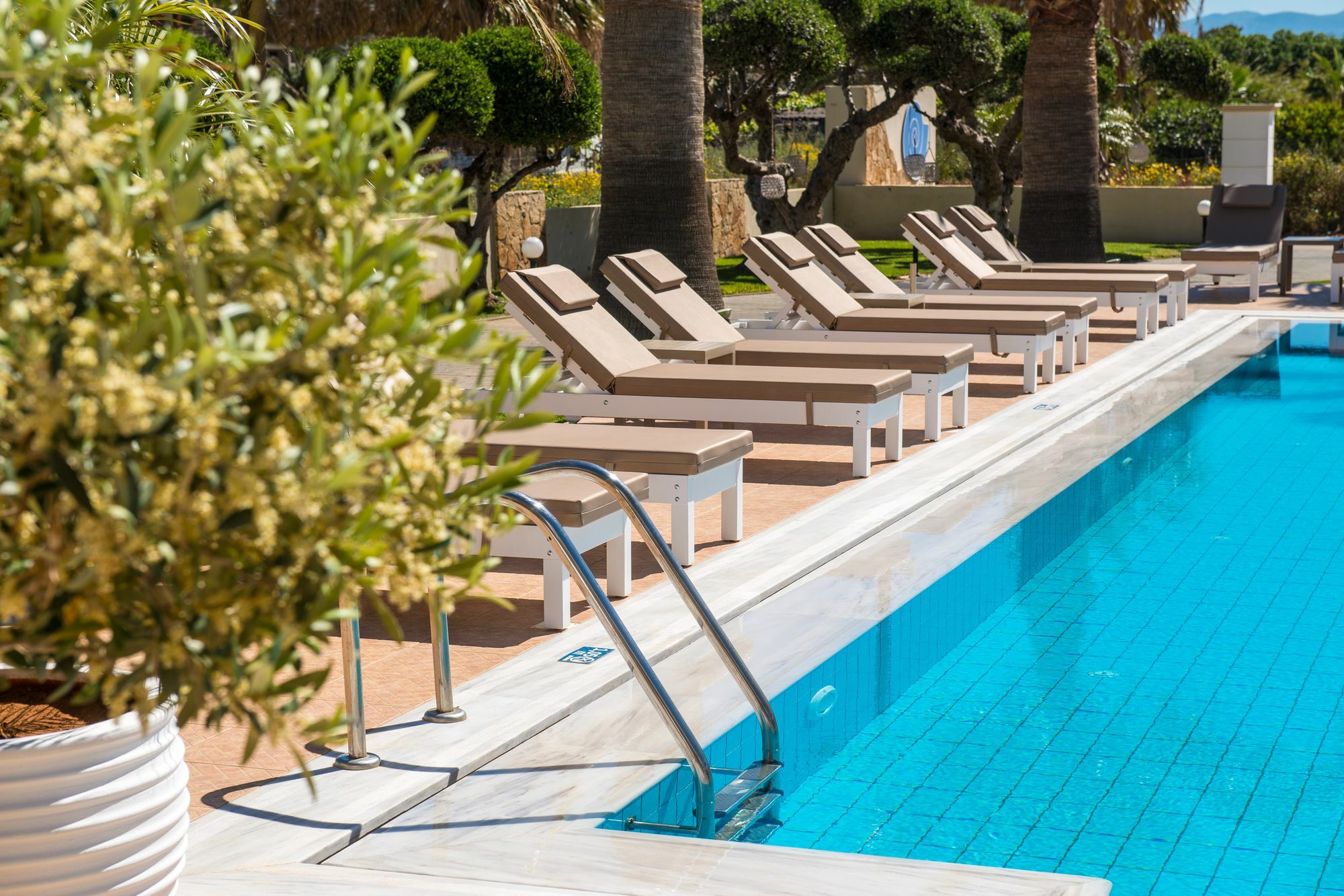 Ammos Boutique Apartments & Suites Malia Eksteriør bilde
