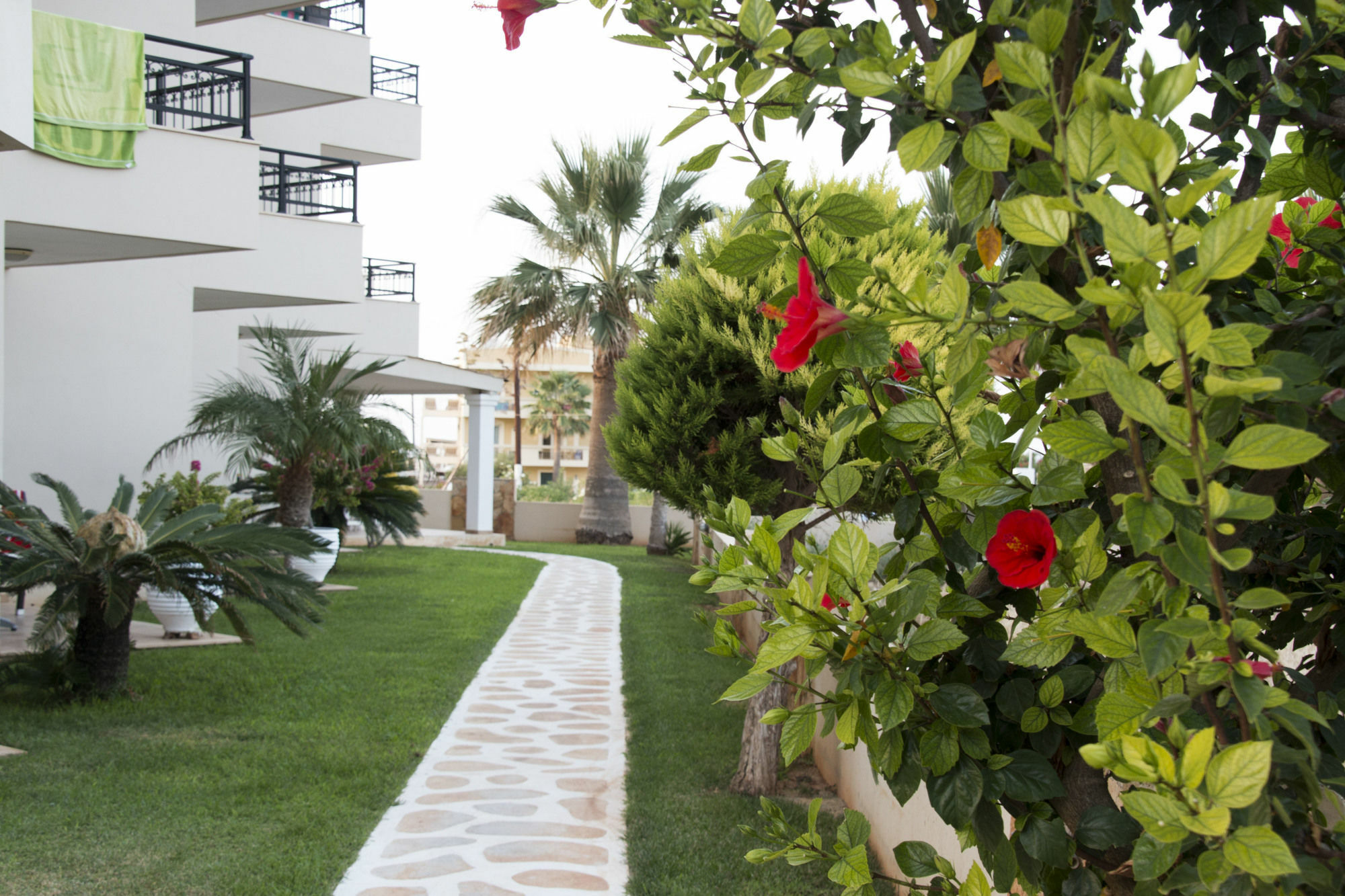 Ammos Boutique Apartments & Suites Malia Eksteriør bilde